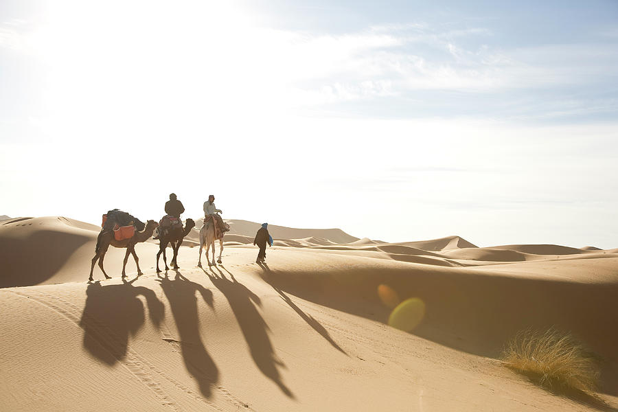 Camel Caravan In Sahara Desert by Steve Casimiro