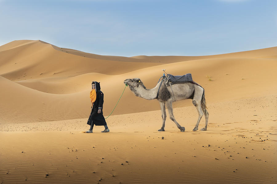 Camel Driver, Merzouga Photograph by Raul Cacho Oses - Fine Art America