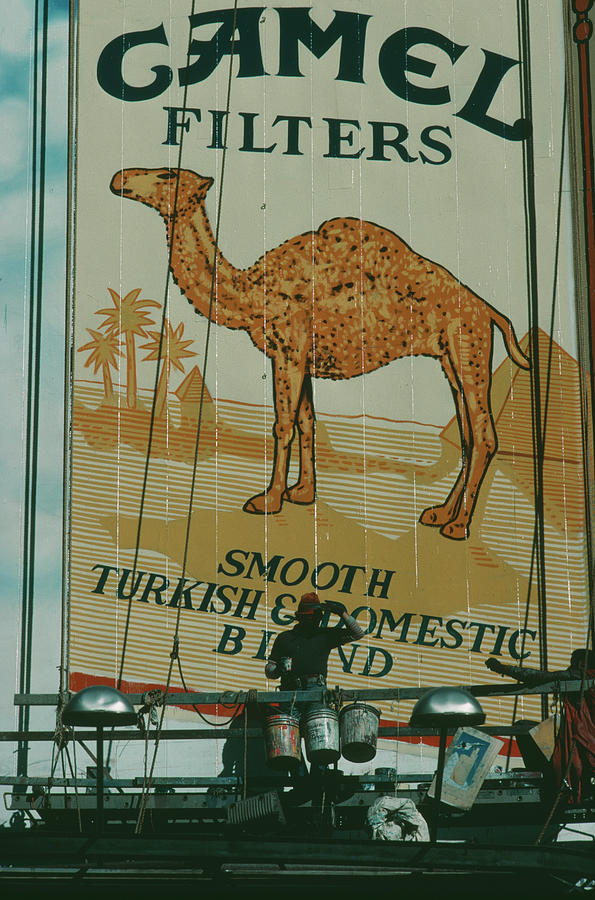 Camel Filters Photograph by Alfred Gescheidt