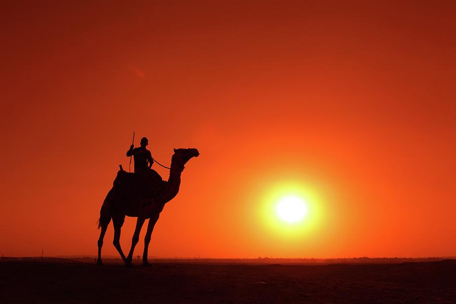 Camel In The Desert At Sunset Photograph by Massimo Pizzotti - Fine Art ...