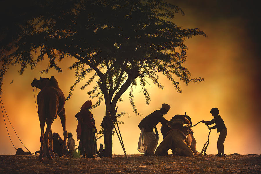 City Photograph - Camel Vendors by Svetlin Yosifov