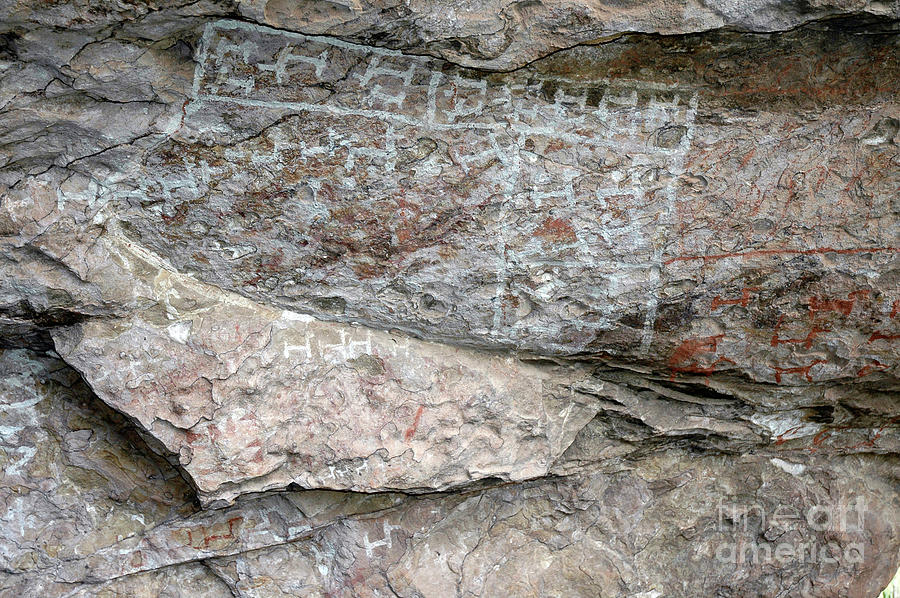 Camelid Rock Paintings at Penas Bolivia Photograph by James Brunker