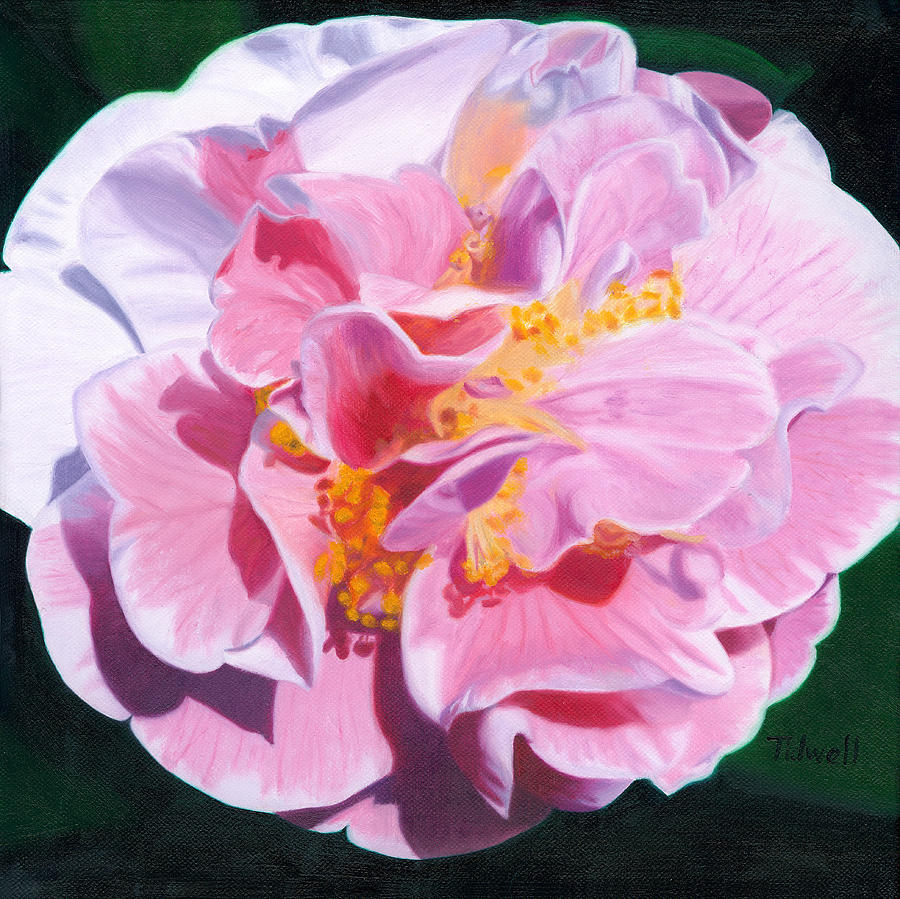 Camellia Painting by Deborah Tidwell Artist