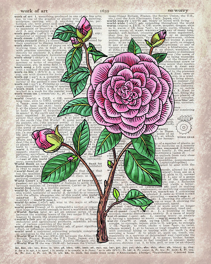 Camellia Dictionary Page Watercolor Art Painting by Irina Sztukowski