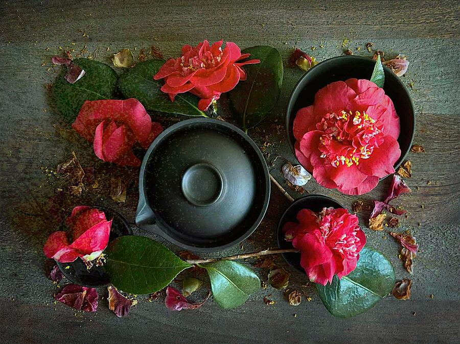 Flower Photograph - Camellia Tea by Fangping Zhou