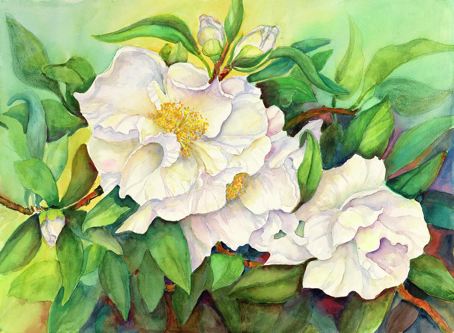 Flower Painting - Camellias by Joanne Porter