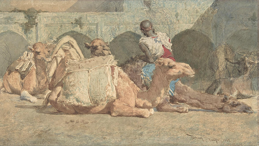 Camels Reposing, Tangiers Drawing by Maria Fortuny