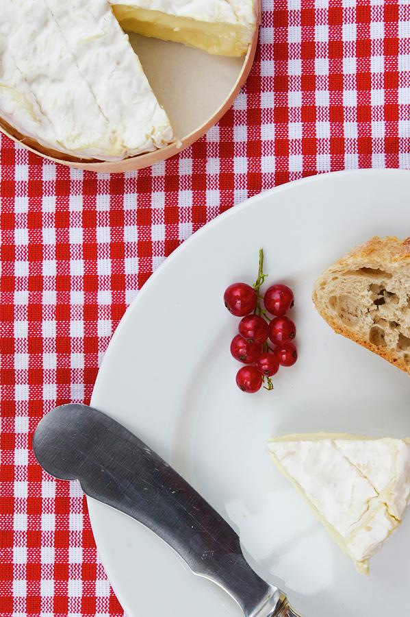 Bread Photograph - Camembert With Baguette And Redcurrants view From Above by Veronesi, Larissa