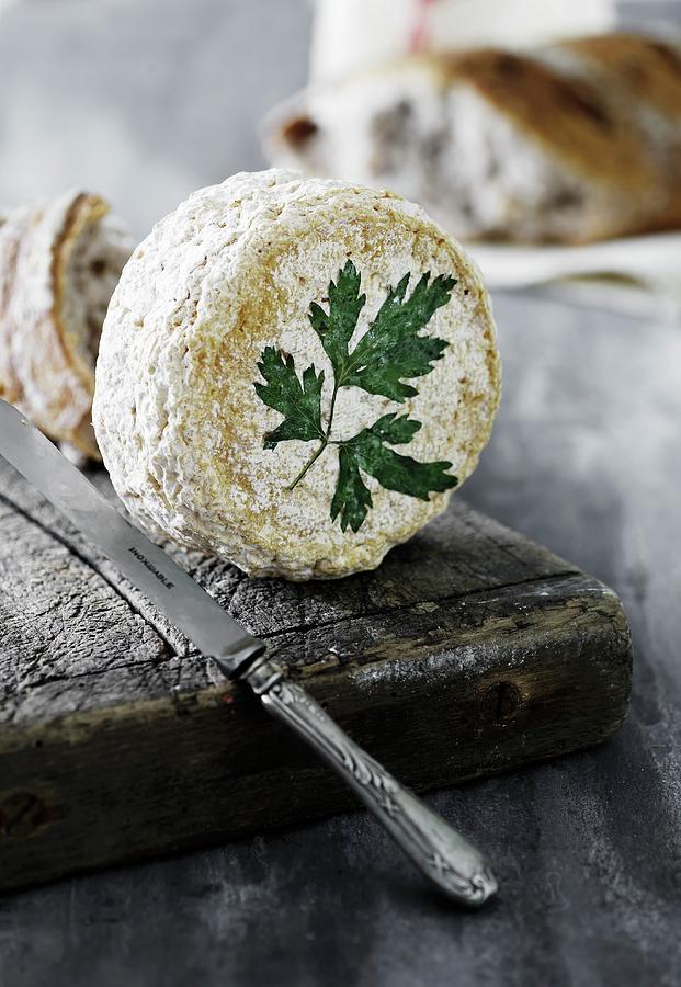 Camembert With Parsley Photograph by Mikkel Adsbl