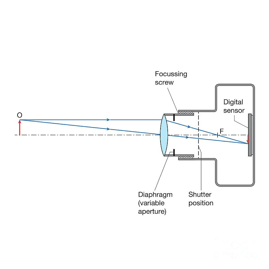Camera With Inverted Image Photograph by Science Photo Library Pixels