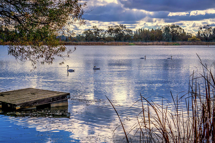 Cameron Park Lake Photograph by Steph Gabler