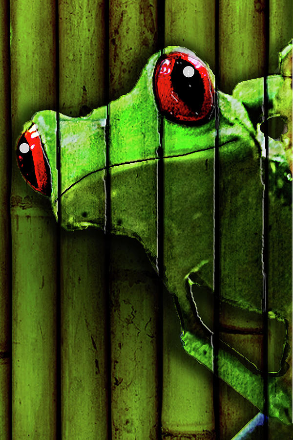 Amphibians Mixed Media - Camo Frog by Dana Brett Munach