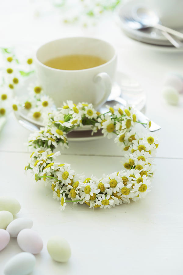 Camomile Flowers With A Teacup On A Festive Table Photograph by Martina Schindler