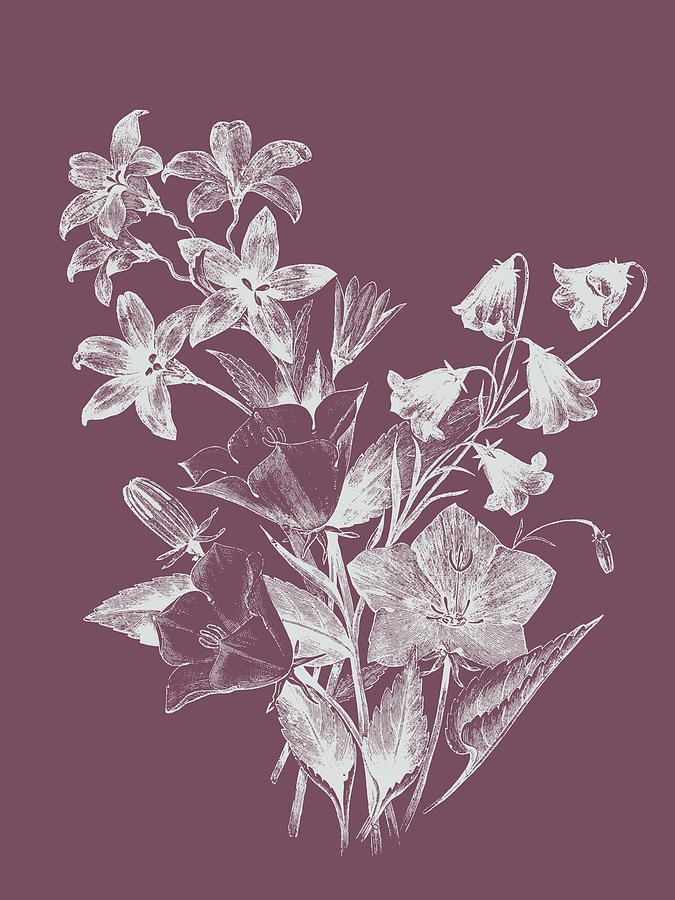 Flower Mixed Media - Campanulas Purple Flower by Naxart Studio