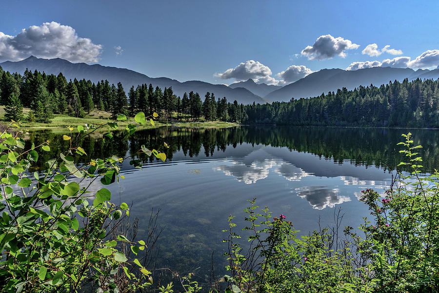 Campbell Lake, British Columbia by Johanna Froese Campbell Lake, British Columbia by Johanna Froese