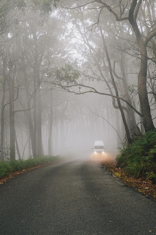 Tree Photograph - Campervan Driving Through Lush Forest On A Misty Day At The Grampians National Park, Victoria, Australia. by Cavan Images