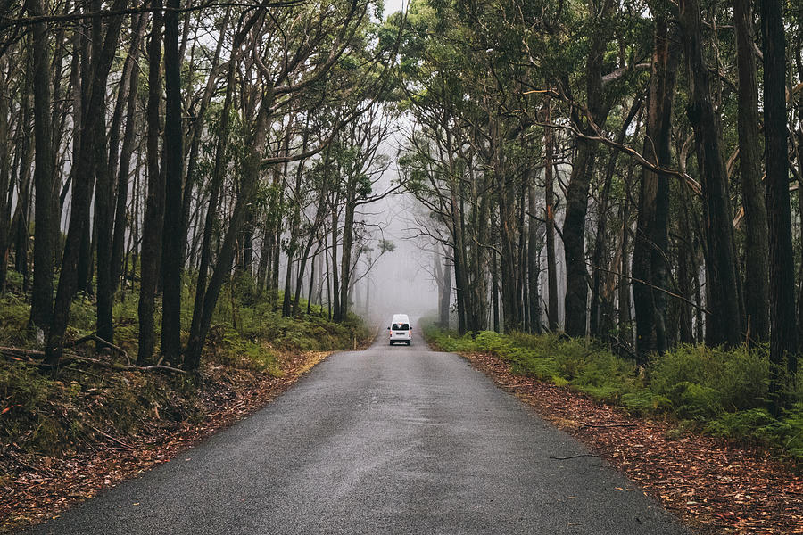 Tree Photograph - Campervan Driving Through The Road On A Foggy Day At The Lush Forest Of The Grampians National Park, Victoria, Australia by Cavan Images