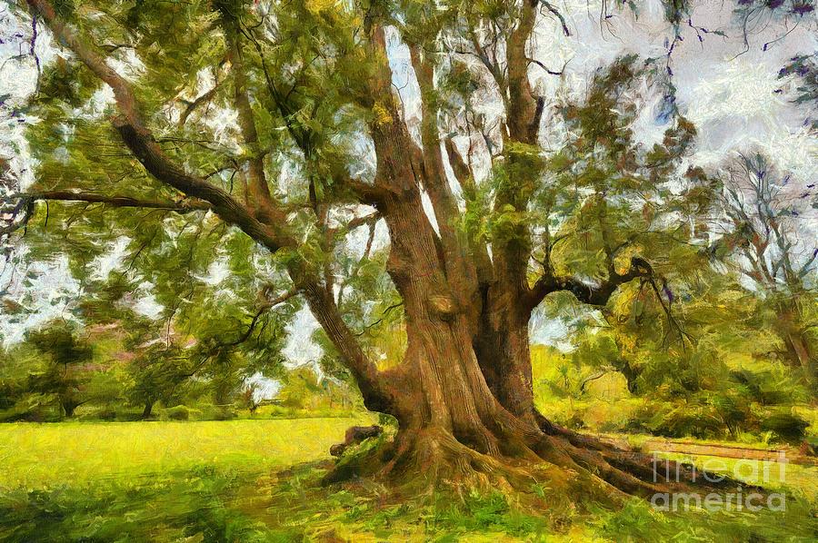Camphor Tree Painting by Eva Lechner
