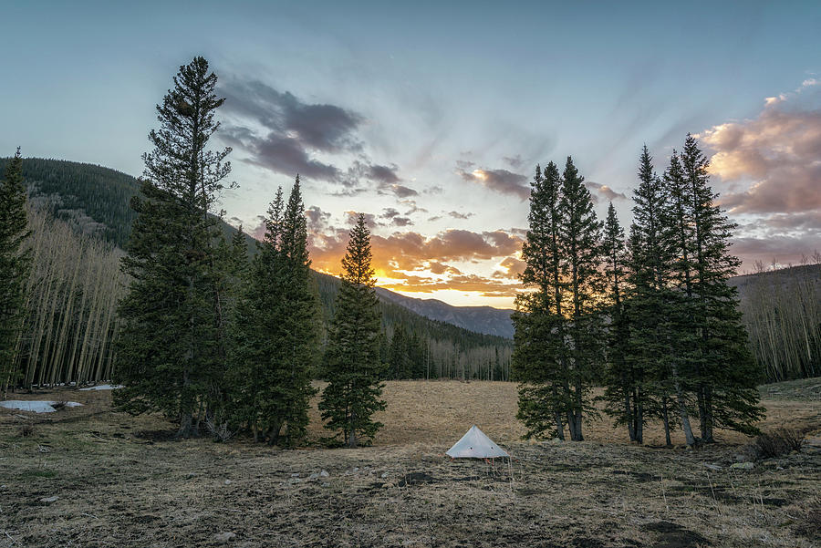 Spring Photograph - Camping In The Pecos Wilderness by Cavan Images