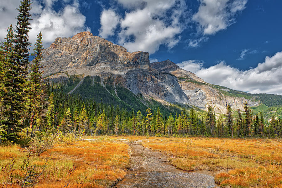 Canada, Alberta, Yoho National Park Photograph by Jaynes Gallery - Pixels