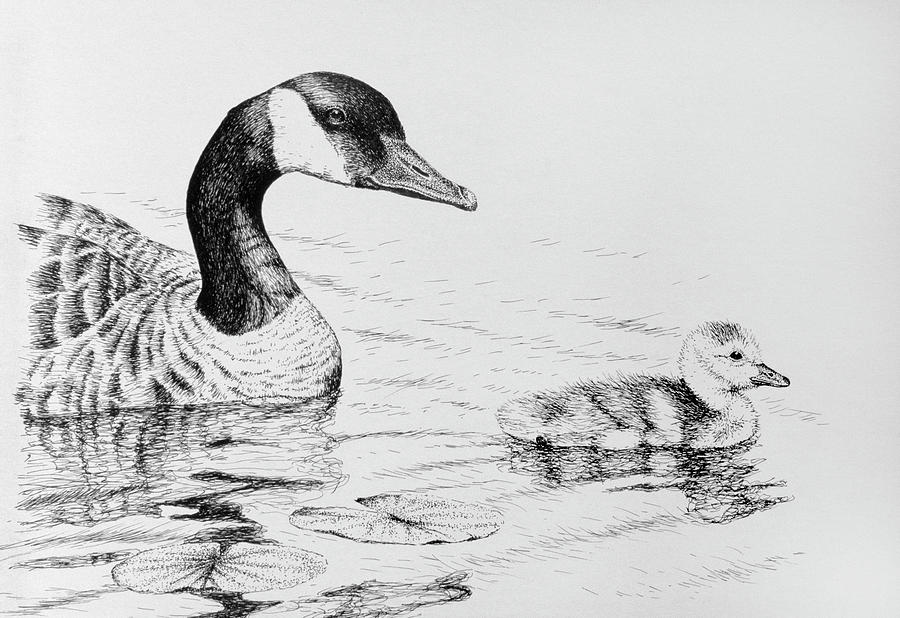 Canada Goose And Baby Painting by Rusty Frentner