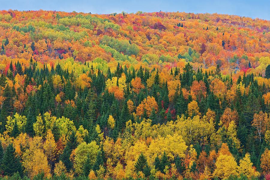 Canada, New Brunswick, Aroostook Photograph by Jaynes Gallery - Pixels