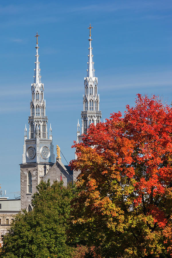 Fall Photograph - Canada, Ontario, Ottawa, Basilica by Walter Bibikow