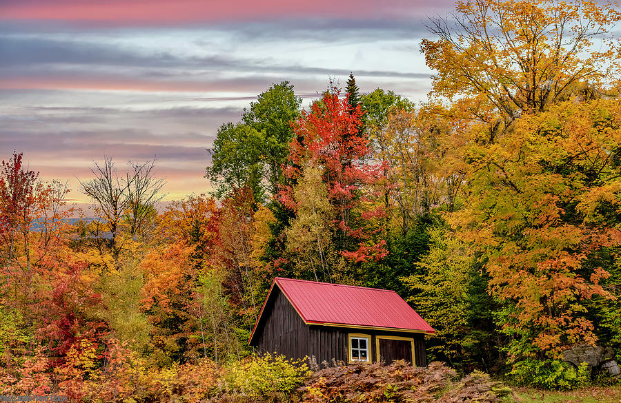 Canadian Autumn Photograph by G Lamar Yancy