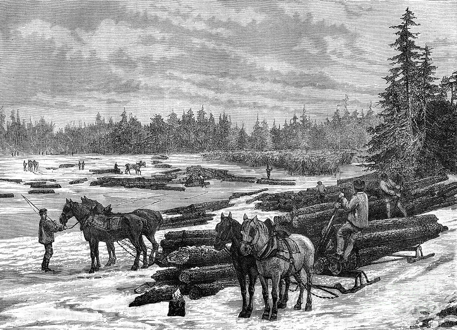 Canadian Loggers, 19th Century.artist Drawing by Print Collector