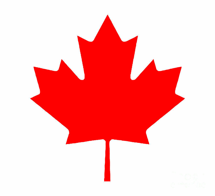 Flag of Canada proposed design (Three red maple leaves with blue borders) —  Google Arts & Culture