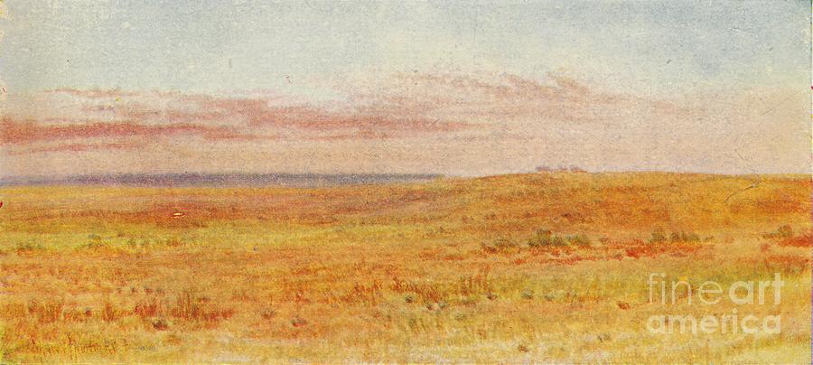 Canadian Prairie Drawing by Print Collector