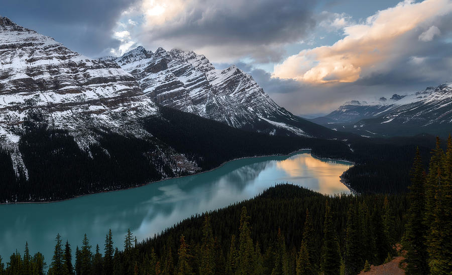 Canadian Rockies  Photograph by Micah Roemmling