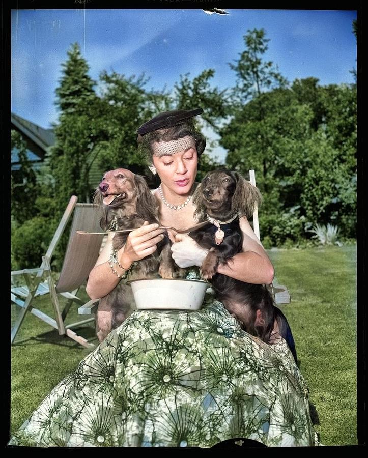 Canadian singer, Gisele MacKenzie with dachshunds colorized by Ahmet Asar Painting by Celestial Images