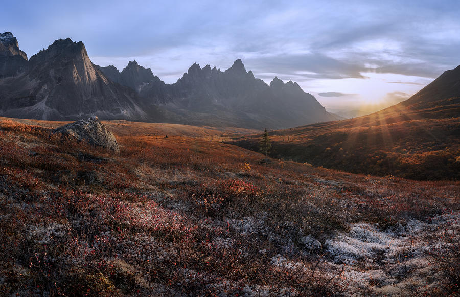 Landscape Photograph - Canadian Tundra by Evgeny Chertov