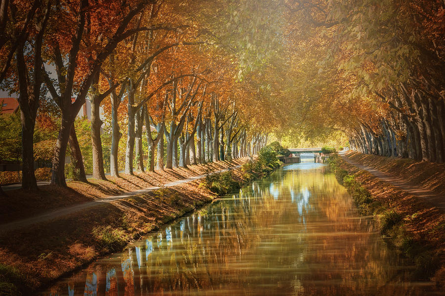 Canal de Brienne Toulouse France in Autumn Photograph by Carol Japp
