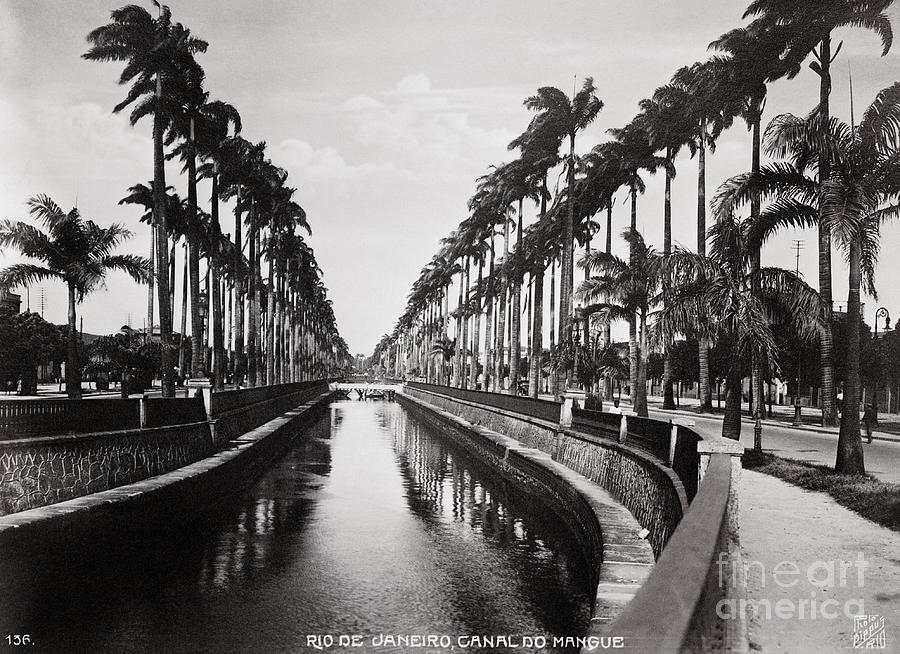 Canal With Trees Photograph by Bettmann