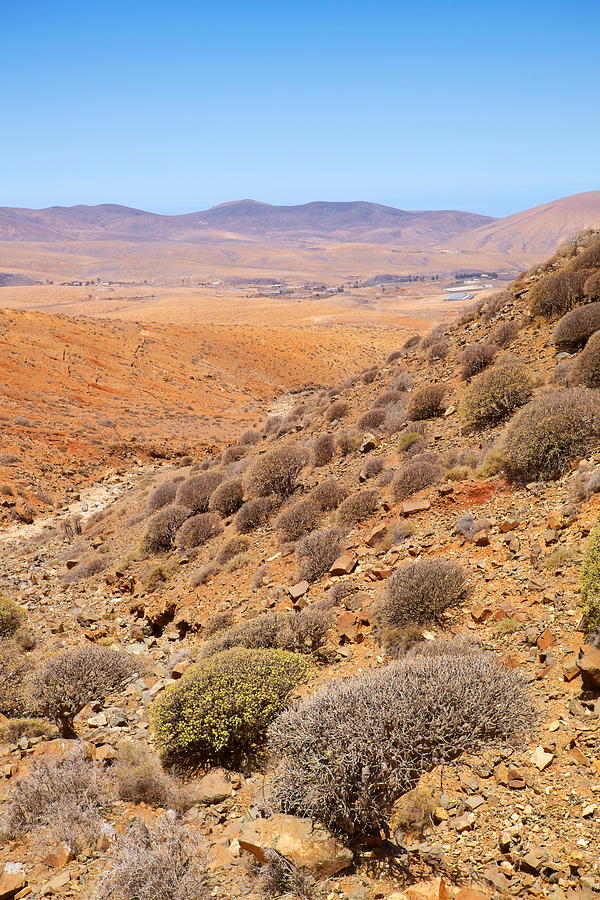 Landscape Photograph - Canary Islands, Fuerteventura Island by Jan Wlodarczyk