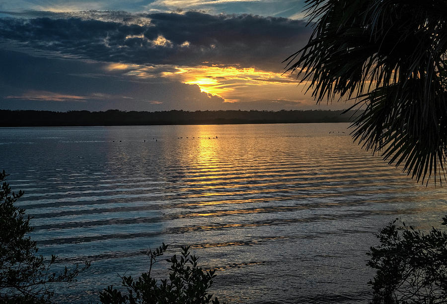 Canaveral Park Sunset Photograph by Tom Singleton