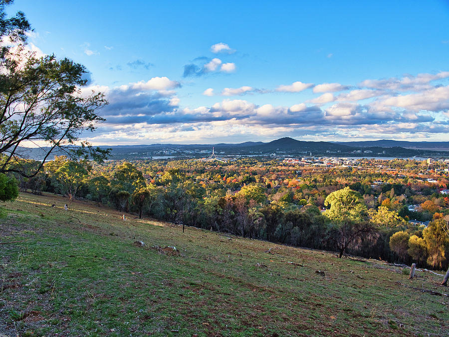 Canberra Autumn 1 - Australia Photograph by Steven Ralser