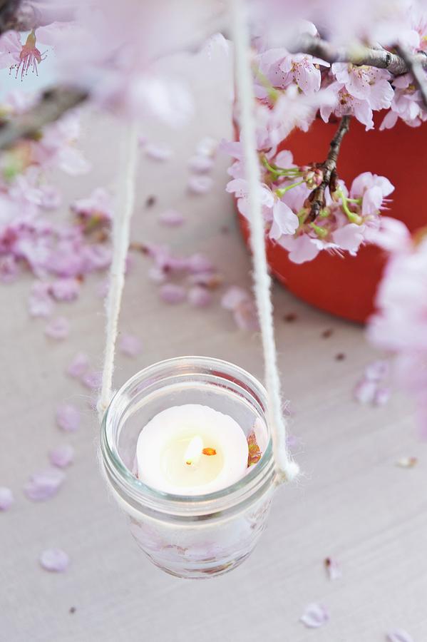 Candle Lantern Hanging From Blossoming Cherry Branch Photograph by Martina Schindler