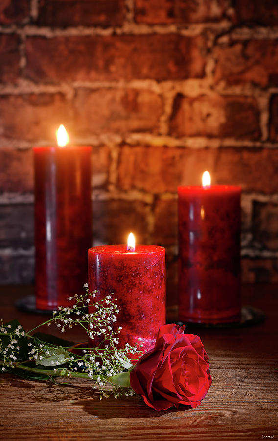 Rose Photograph - Candle Lit Rose_13920 by Gordon Semmens