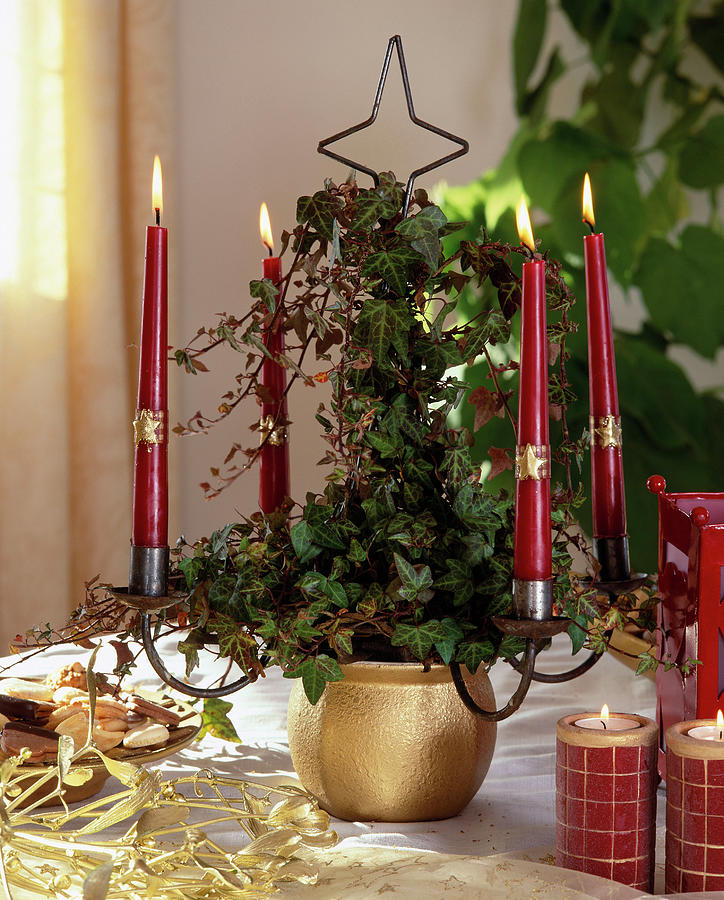 Candlestick With Ivy For Advent Photograph by Friedrich Strauss