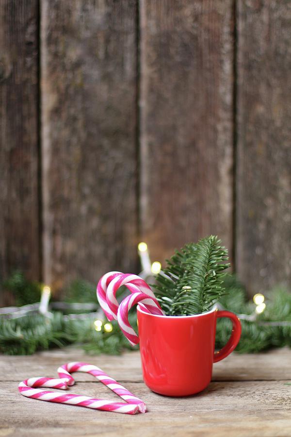 Candy Canes In Red Christmas Mug Photograph by Sylvia E.k Photography