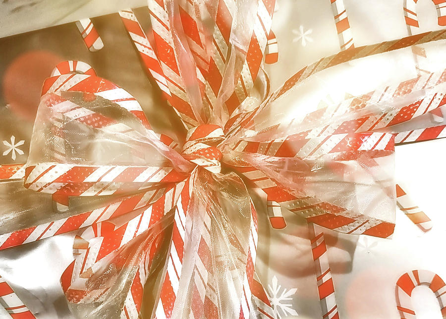 Candy Canes Photograph by JAMART Photography