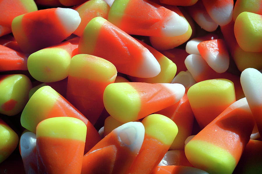 Candy Corn for Halloween Photograph by Bill Swartwout