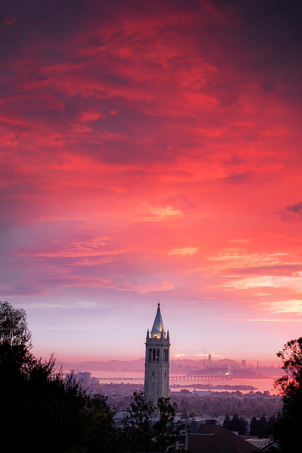 Candy Sunset, Berkeley Campanile Photograph by Vincent James