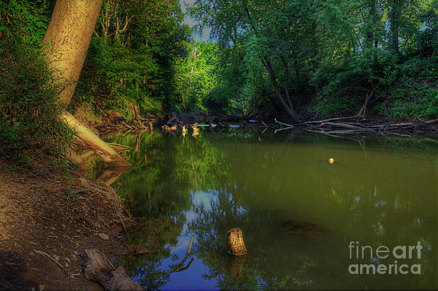 Nature Photograph - Cane Creek Harviell Access by Larry Braun