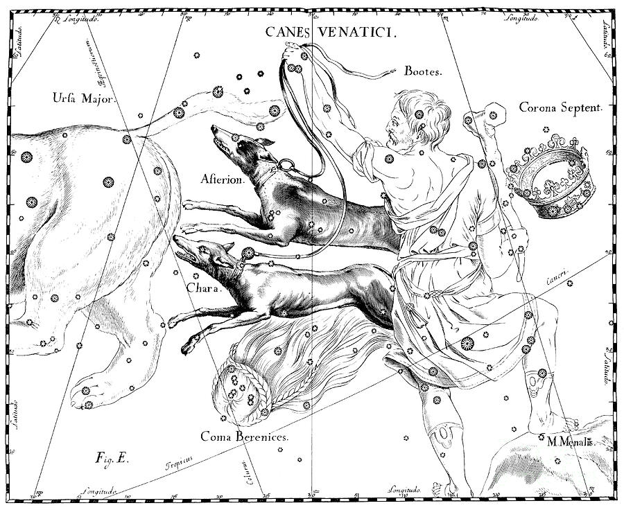 Canes Venatici, The Boreal Constellation Of The Hunting Dogs Drawing by ...