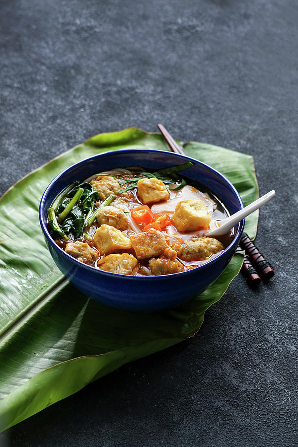Canh Bun - Vietnamese Noodle Soup With Water Spinach, Fried Tofu And Fish Balls Photograph by Julia Bogdanova