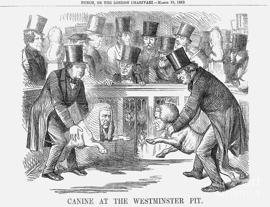 Canine At The Westminster Pit, 1862 Drawing by Print Collector